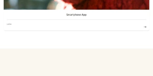 Florida Door Solutions Inc.