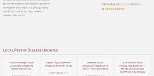 LAM Tree Service