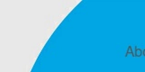 Smile Brands Finance