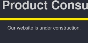 New Product Consulting, Inc.