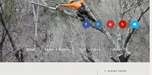 Arborist Standards Tree Care