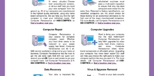 Computer Renaissance