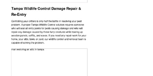 A All Animal Control of Tampa Bay, LLC