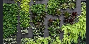 Serenity Aquarium and Aviary