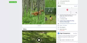 Paws A While Boarding Kennel