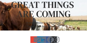 Derby City Tree, Inc.