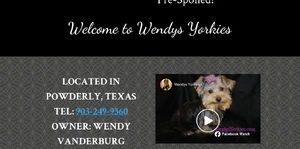 Wendys Yorkies