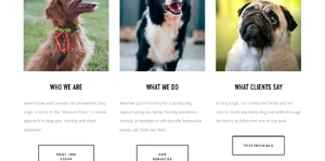 Dog Logic, LLC