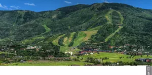 McVicars and Associates, LLC.