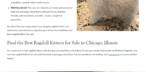Midwest Ragdolls