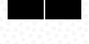 Doggie Daycare and Motel