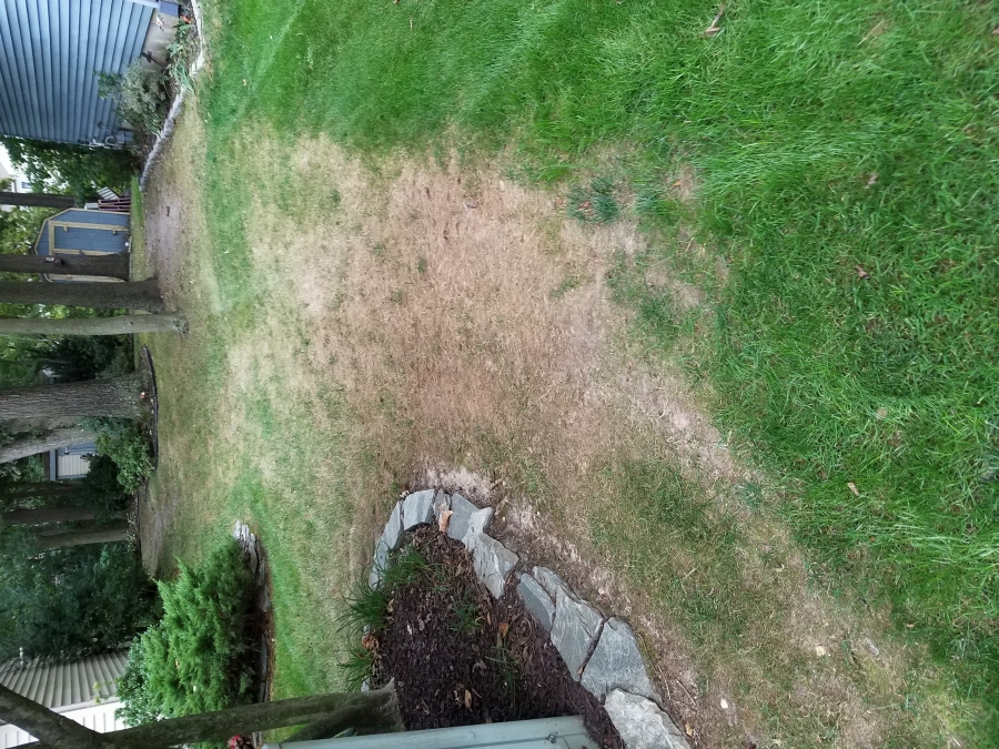 SpringGreen Lawn Care Reviews, Complaints, Customer Service