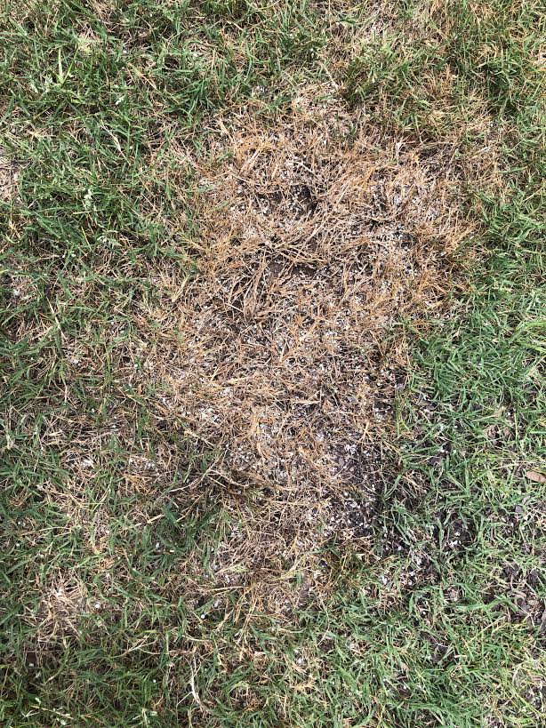 Weed Man Lawn Care Chattanooga Reviews, Complaints