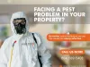 Pest Control in Surrey