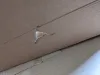 Buyer Beware