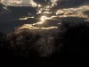 The Adventure of My Dreams