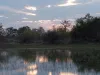 The Adventure of My Dreams