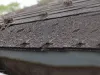 All About Gutters