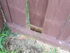 NoahCo Fencing