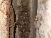 Best Air duct cleaning services