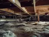 Waterproofing Service