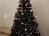 My Experience with the TotalFindz Christmas Sale