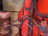 Junkyard Cars