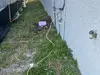 Irrigation system malfunction