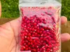 BUY COCA SEEDS ONLINE