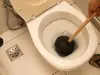 Champion Plumbing